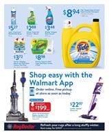 Walmart Ad Cleaning Products March 2018
