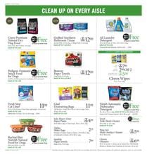 Publix Ad Cleaning Supplies Jul 17 23 2019
