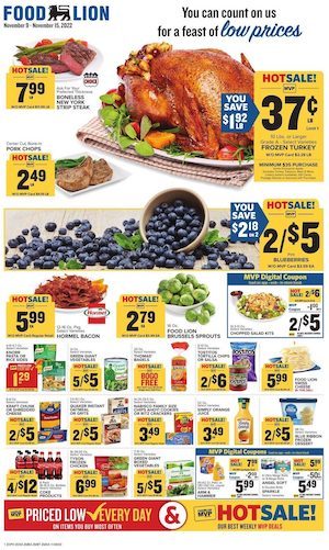Food Lion Weekly Ad Nov 9 - 15, 2022