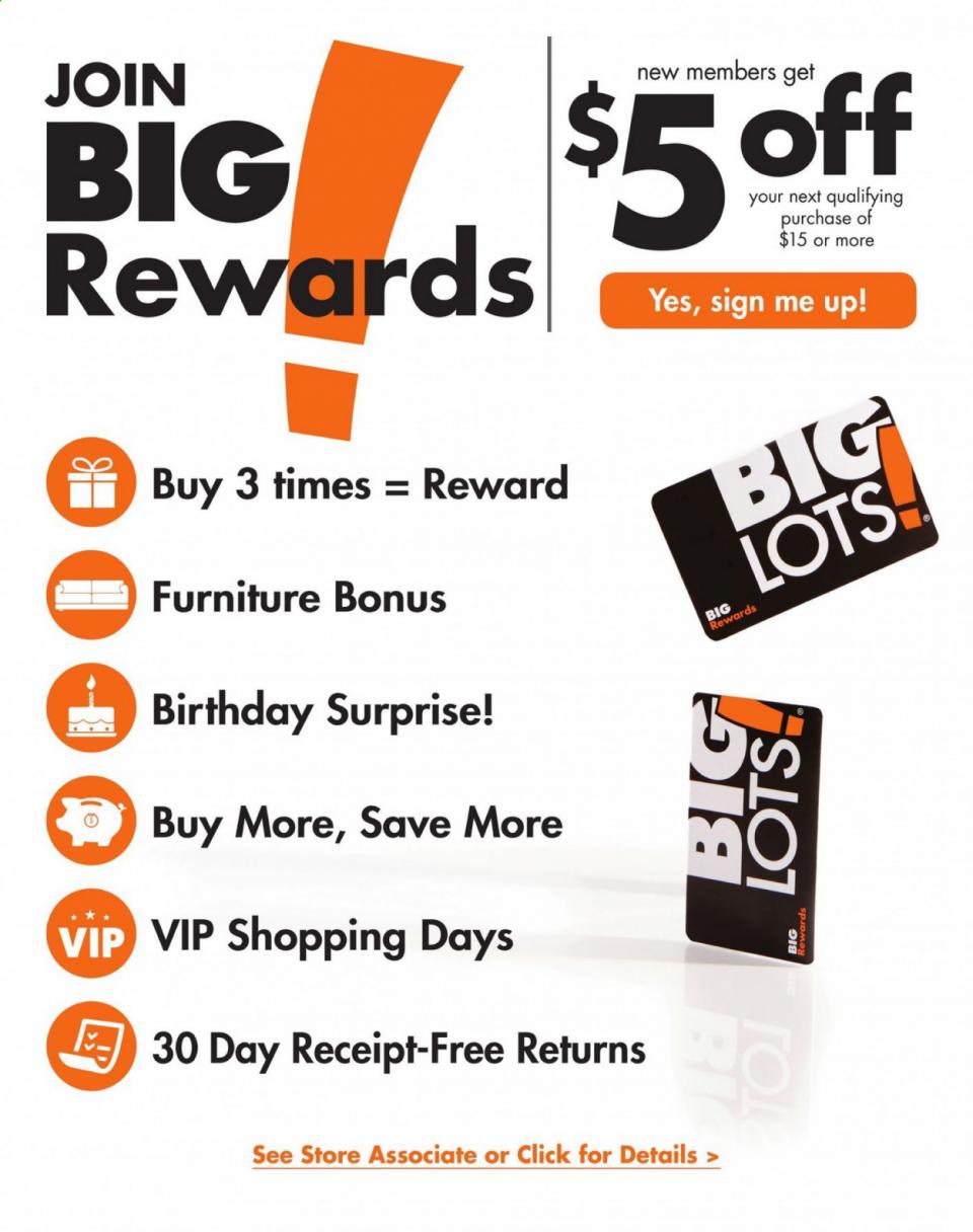 Big Lots Ad page 5