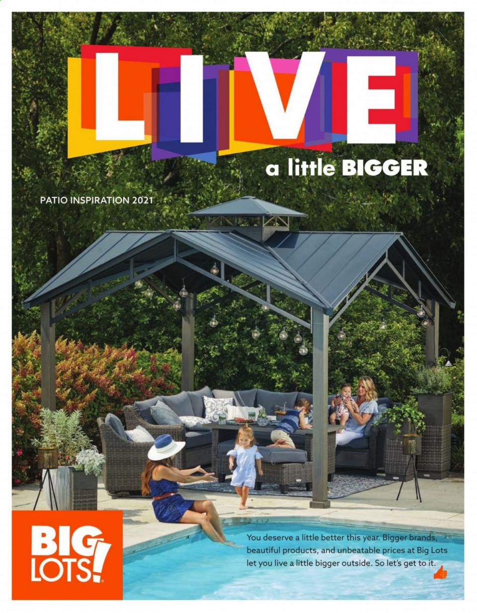 Big Lots Ad May 18 Aug 15, 2021 WeeklyAds2