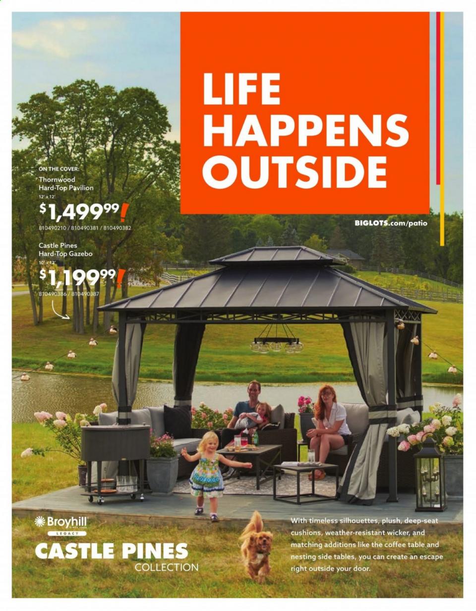 Big Lots Ad May 18 Aug 15, 2021 WeeklyAds2