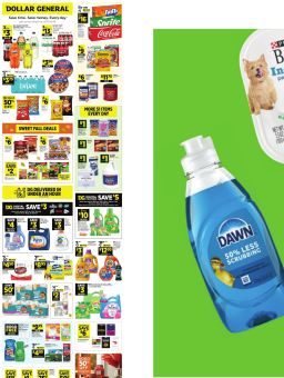 Dollar General Weekly Ad September 20 - 26, 2026