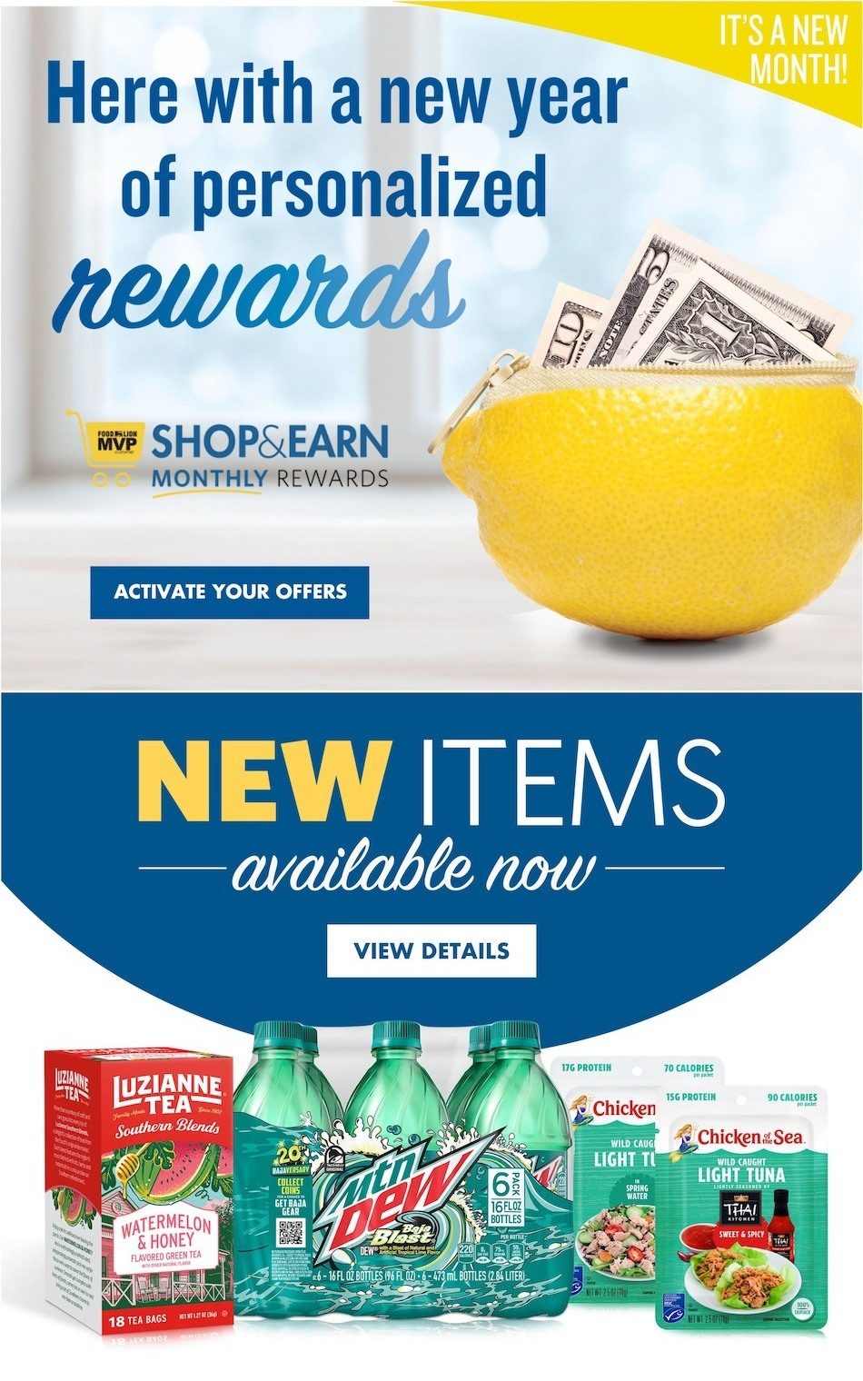 Food Lion Weekly Ad Jan 3 9, 2024 WeeklyAds2