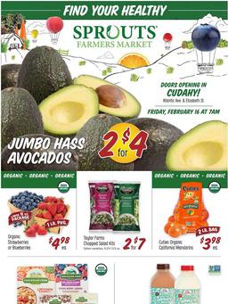 Sprouts Sale Feb 14 - 20, 2024