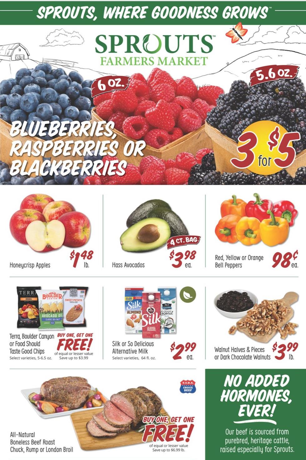 Sprouts Weekly Ad Jan 13 19, 2021 WeeklyAds2