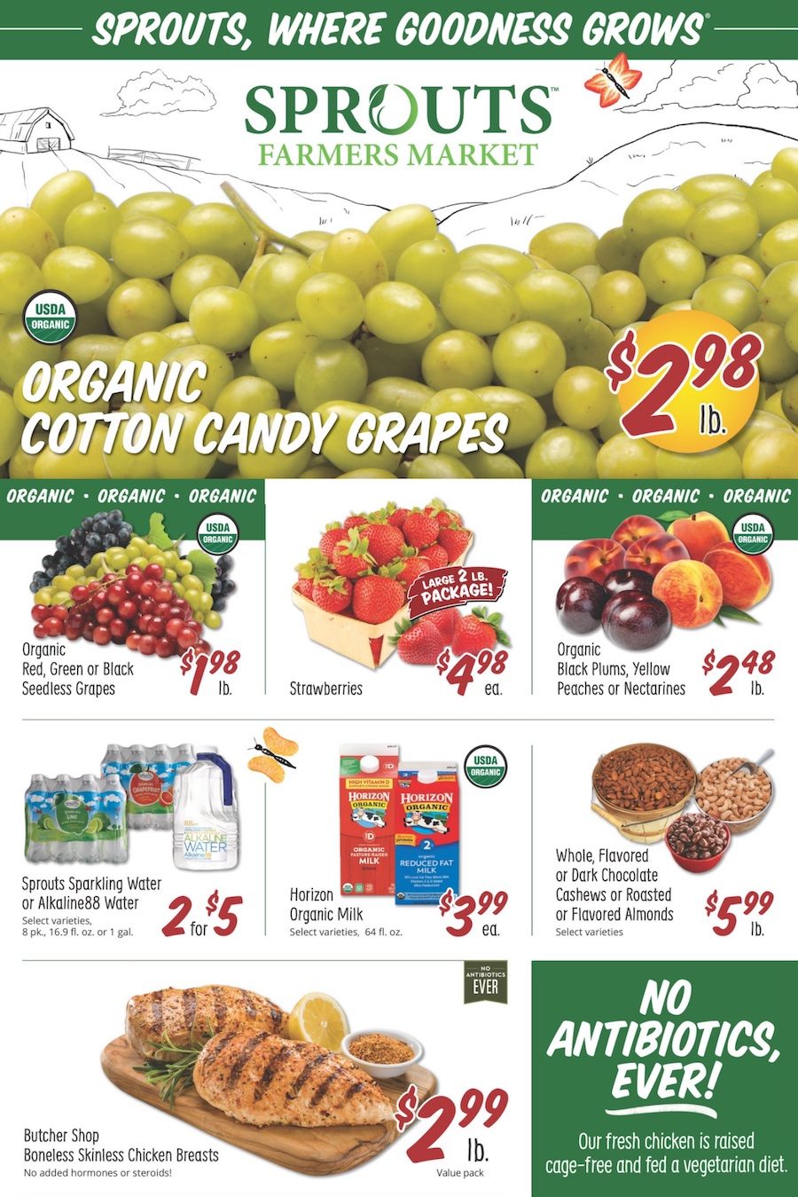 Sprouts Hoover Weekly Ad at Mildred Traylor blog